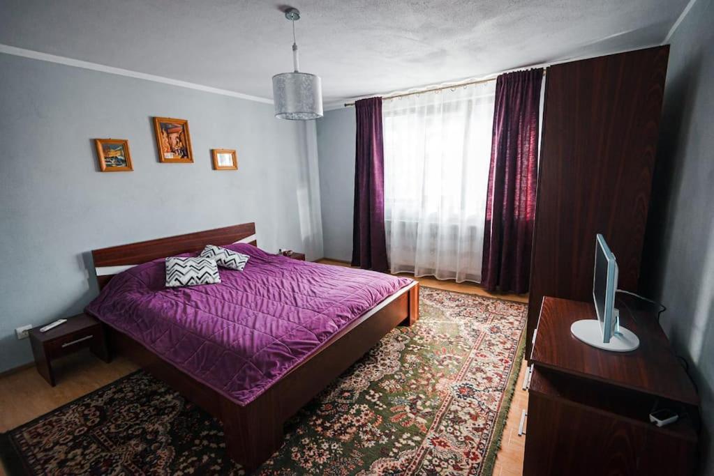Casa Cu Dor Holiday home Vistea de Sus