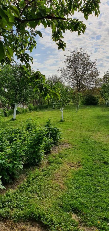Holiday home Casa Cu Dor