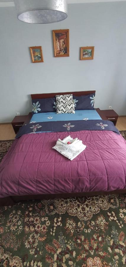 Holiday home Casa Cu Dor
