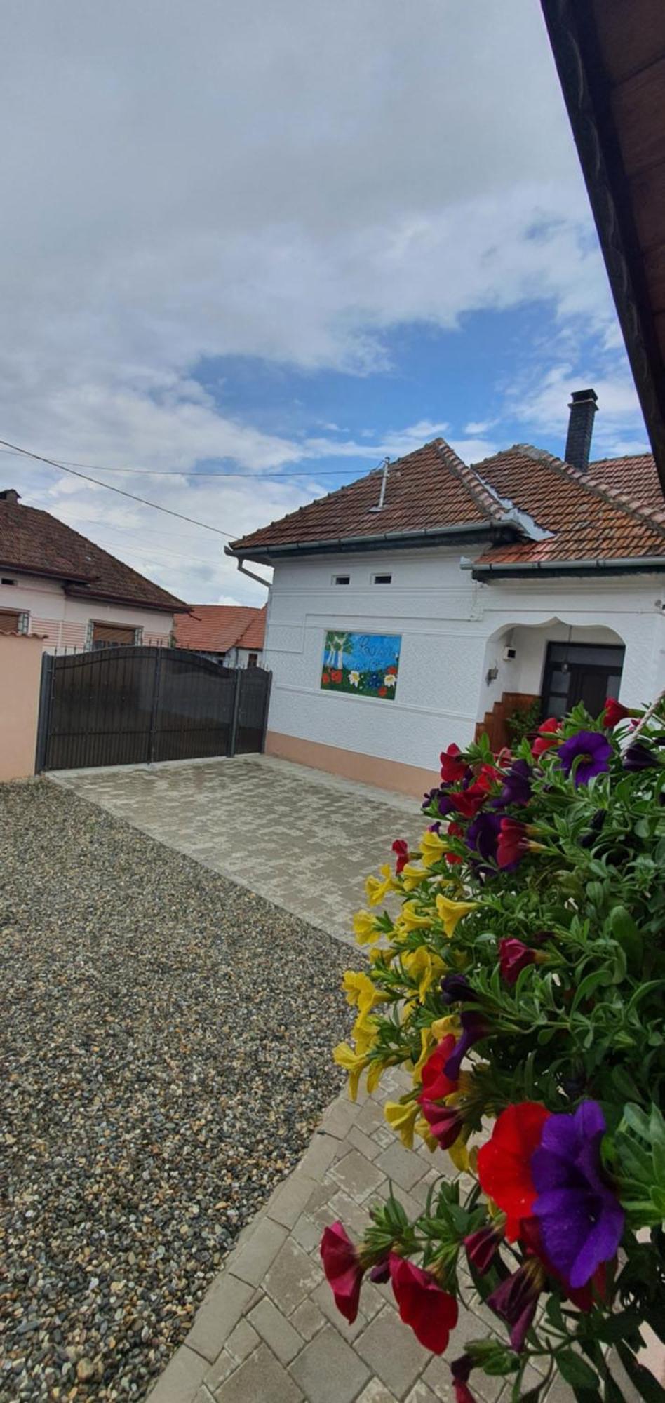 Casa Cu Dor Holiday home